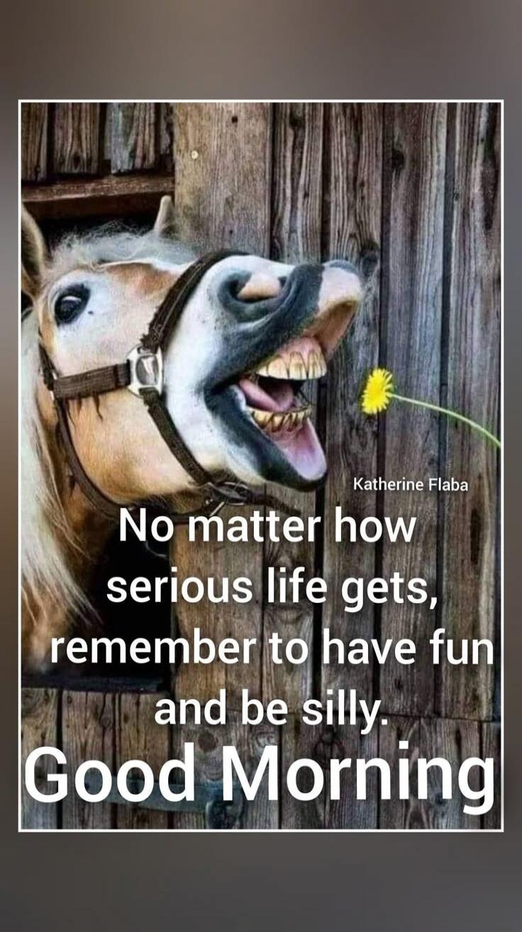 Katherine Flaba No matter how serious life gets, remember to have fun and be silly. Good Morning