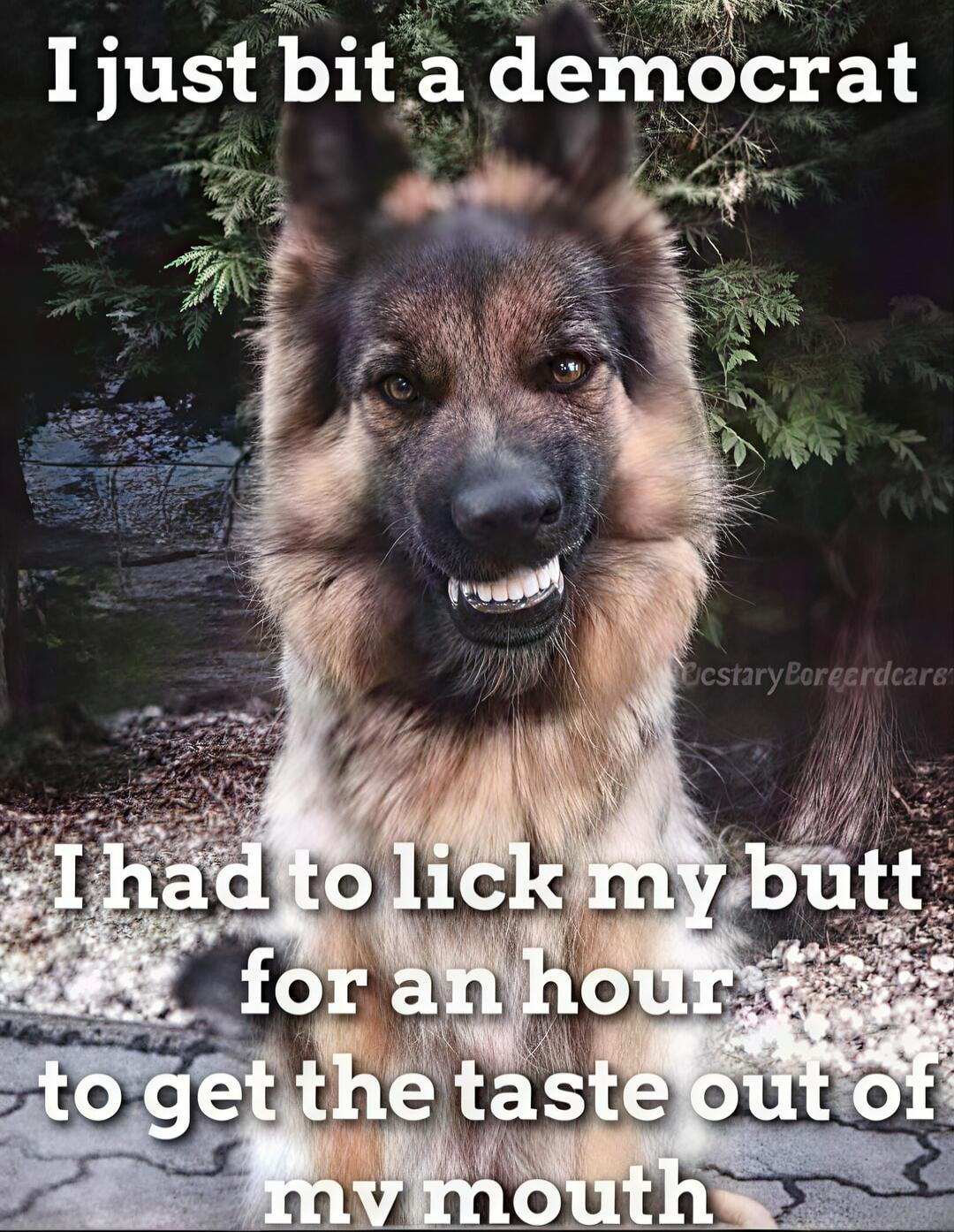 I just bit a democrat I had to lick my butt for an hour to get the taste out of my mouth