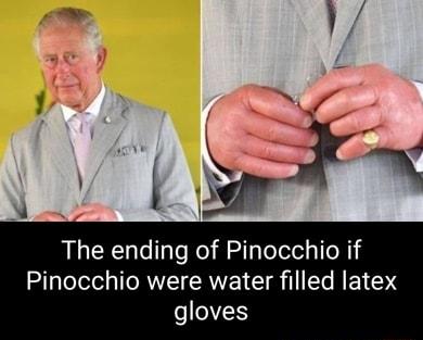 The ending of Pinocchio if Pinocchio were water filled latex gloves