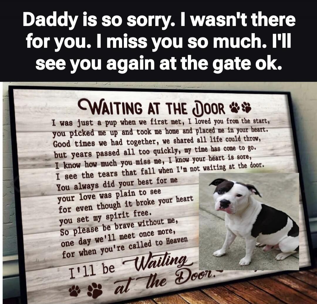 Daddy is so sorry. I wasn't there for you. I miss you so much. I'll see you again at the gate ok.

WAITING AT THE DOOR
I was just a pup when we first met, I loved you from the start, you picked me up and took me home and placed me in your heart. Good times we had together, we shared all life could throw, but years passed all too quickly, my time ha