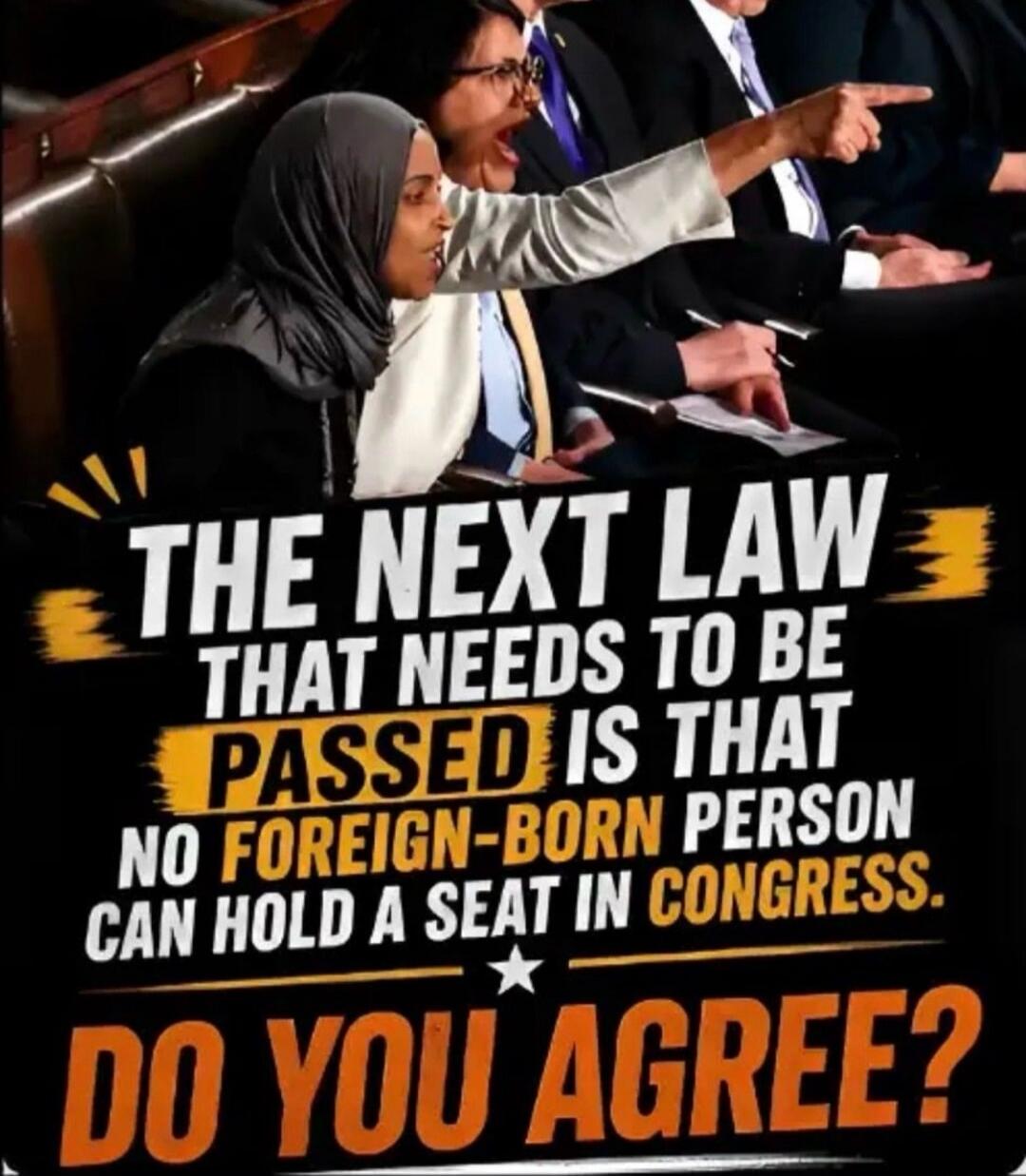 THE NEXT LAW THAT NEEDS TO BE PASSED IS THAT NO FOREIGN-BORN PERSON CAN HOLD A SEAT IN CONGRESS. DO YOU AGREE?