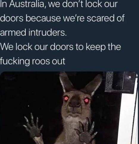 In Australia we adont lock our o olo SN oI WMNTH CRTer STo o armed intruders We lock our doors to keep the UlelglelielolYolUl