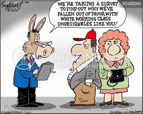 WE'RE TAKING A SURVEY TO FIND OUT WHY WE'VE FALLEN OUT OF FAVOR WITH WHITE WORKING CLASS UNDESIRABLES LIKE YOU!