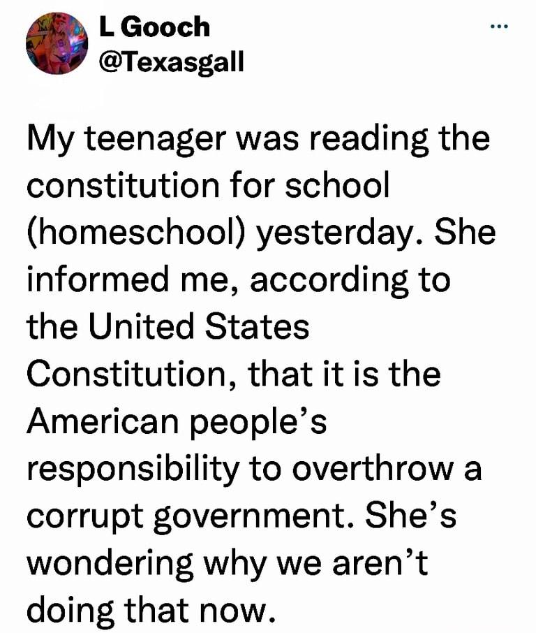 L Gooch Texasgall My teenager was reading the constitution for school homeschool yesterday She informed me according to the United States Constitution that it is the American peoples responsibility to overthrow a corrupt government Shes wondering why we arent doing that now