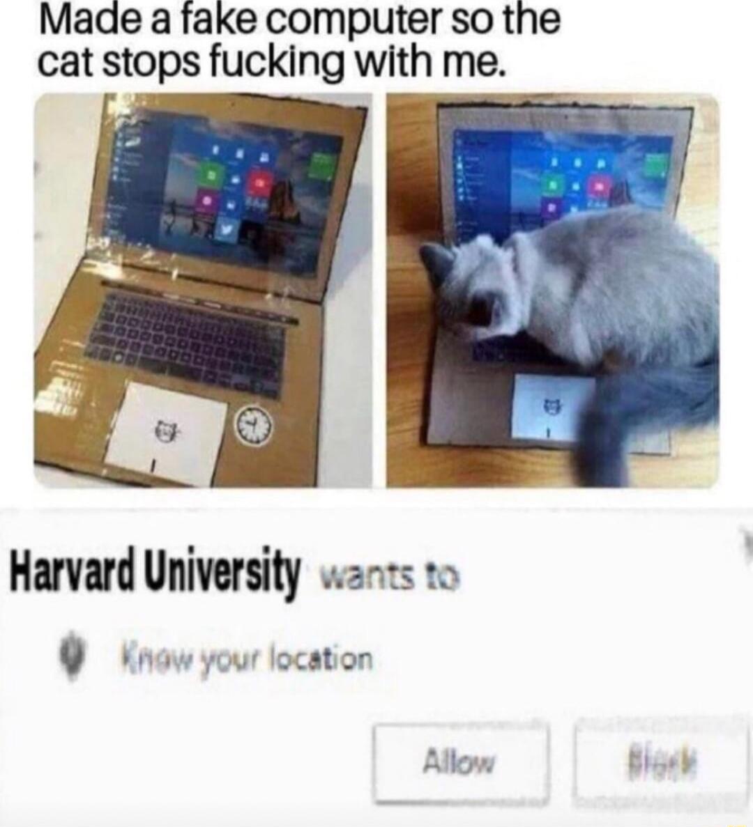 Made a fake computer so the cat stops fucking with me Harvard University wans to 9 now your location