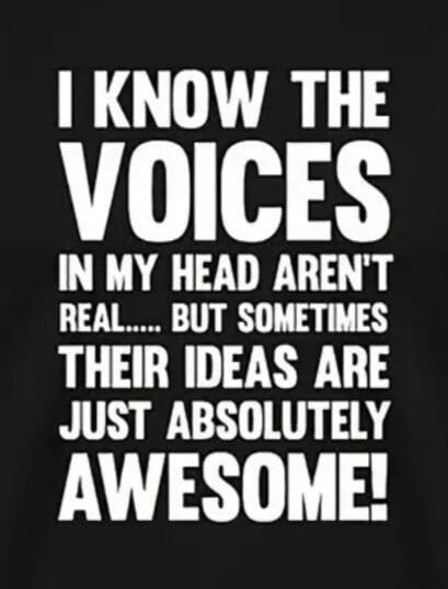 I KNOW THE VOICES IN MY HEAD AREN'T REAL..... BUT SOMETIMES THEIR IDEAS ARE JUST ABSOLUTELY AWESOME!