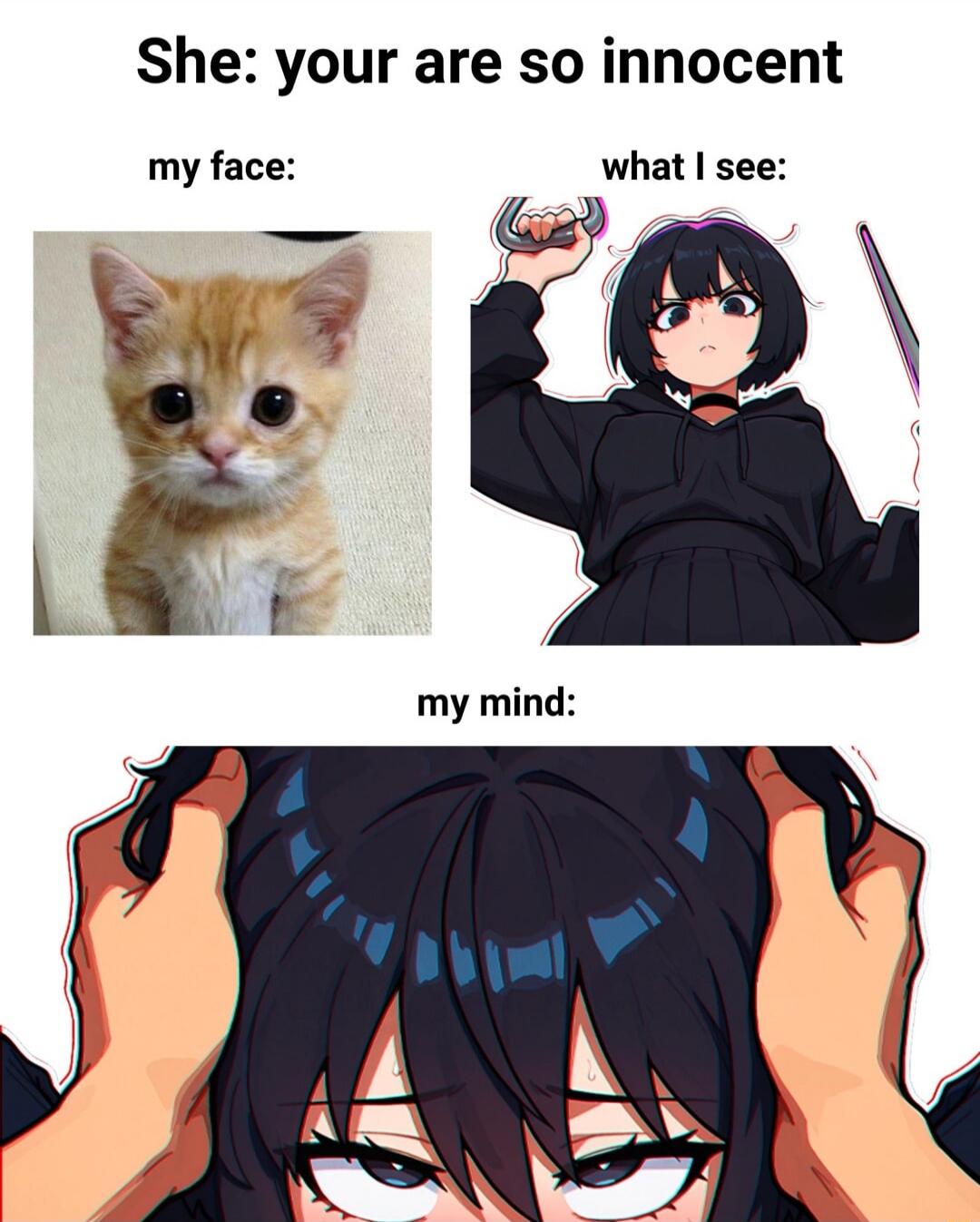 She: your are so innocent
my face: [kitten image]
what I see: [anime girl with knife]
my mind: [distressed person pulling hair]