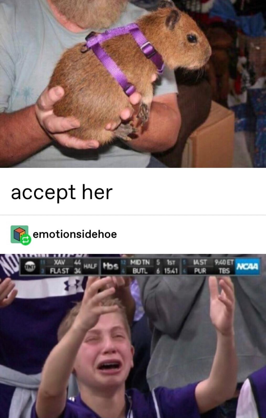 accept her emotionsidehoe
