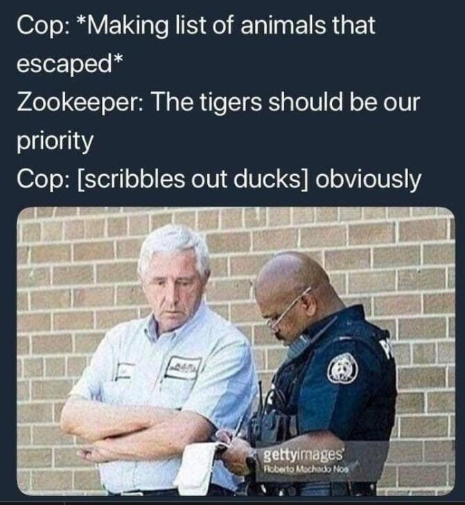 Cop Making list of animals that o o e e o CIToTT o N g TR T SES oW o NoTYolU 4 ole113Y2 Cop scribbles out ducks obviously