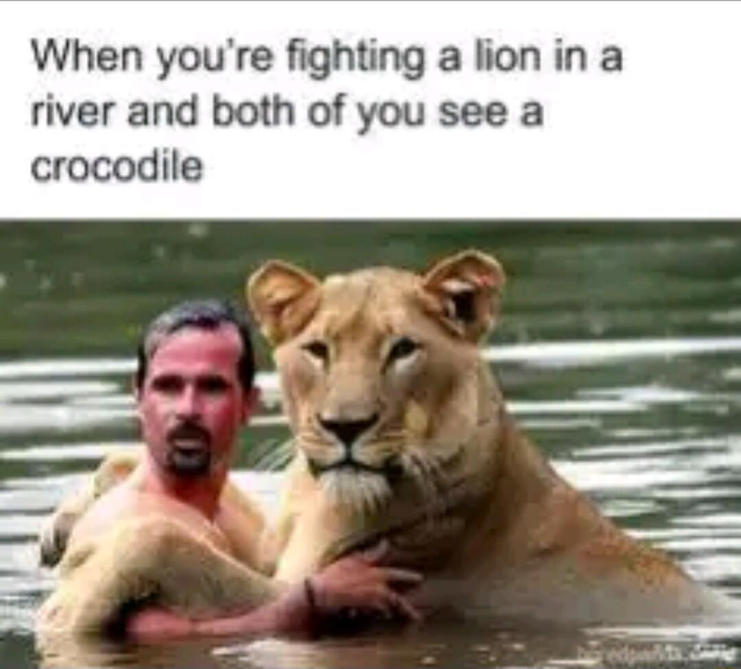 When youre fighting a lion in a river and both of you see a crocodile