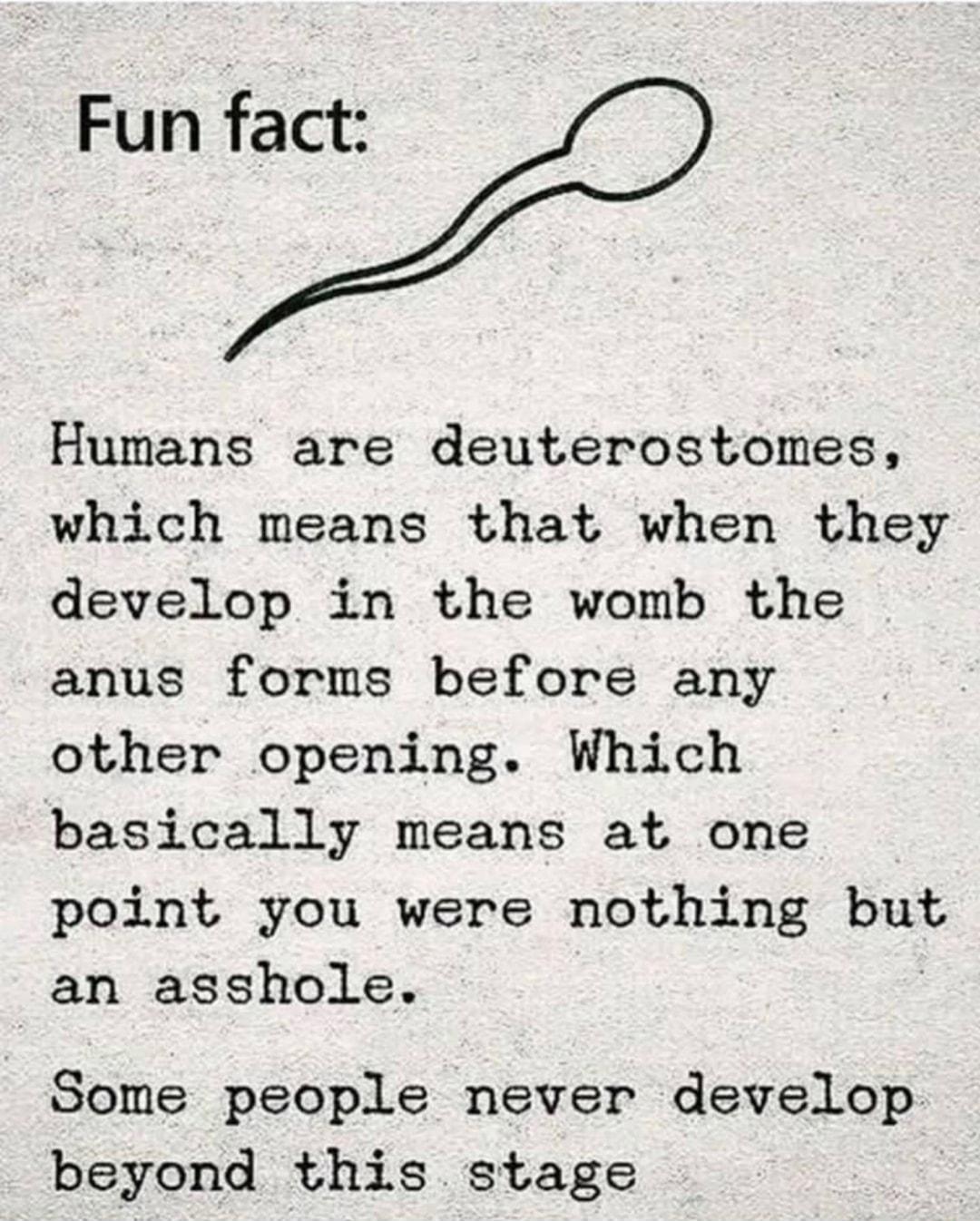 Humans are deuterostomes which means that when they develop in the womb the anus forms before any other opening Which basically means at one point you were nothing but an asshole Some people never develop beyond this stage