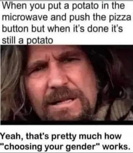 When you put a potato in the microwave and push the pizza button but when it's done it's still a potato. Yeah, that's pretty much how 