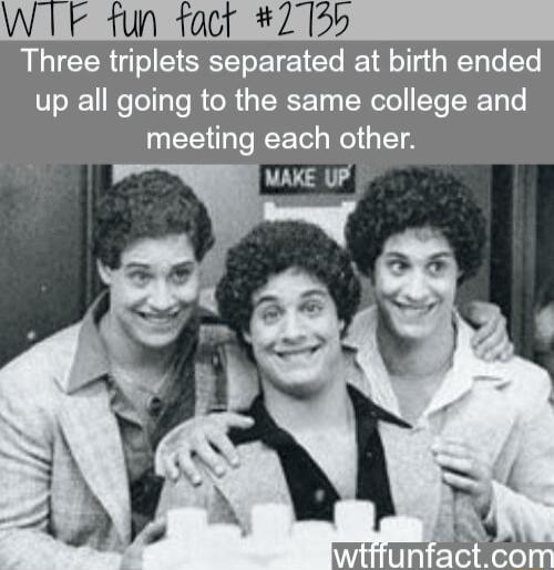 F fun fact 7275 Three triplets separated at birth ended up all going to the same college and meeting each other