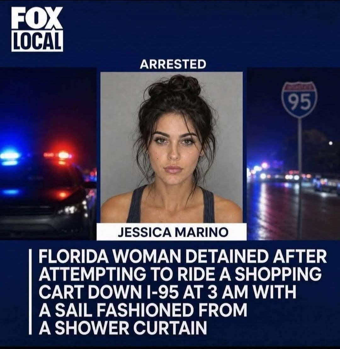 FOX LOCAL ARRESTED JESSICA MARINO FLORIDA WOMAN DETAINED AFTER ATTEMPTING TO RIDE A SHOPPING CART DOWN I-95 AT 3 AM WITH A SAIL FASHIONED FROM A SHOWER CURTAIN