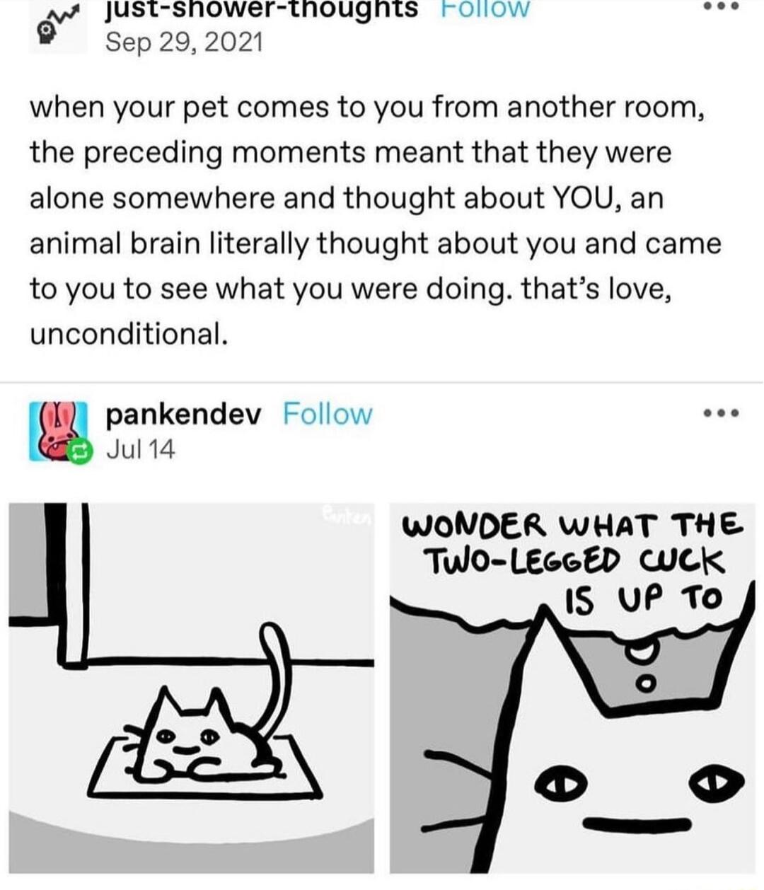 A7 JUSETSROWEIthougnes rolliow Sep 292021 when your pet comes to you from another room the preceding moments meant that they were alone somewhere and thought about YOU an animal brain literally thought about you and came to you to see what you were doing thats love unconditional pankendev Follow Jul14 WONDER WHAT THE TWO LECCED WK IS UP To o D