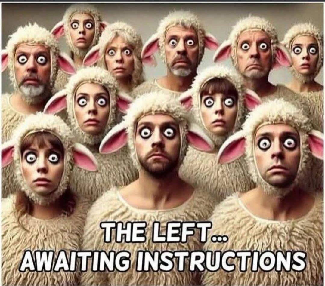 THE LEFT... AWAITING INSTRUCTIONS
