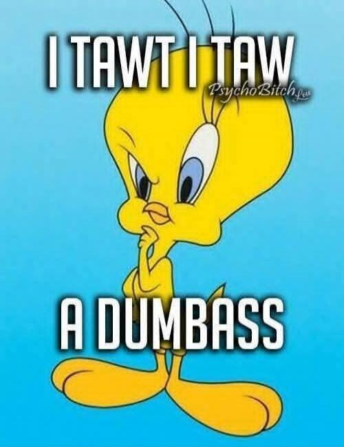 I TAWT I TAW A DUMBASS