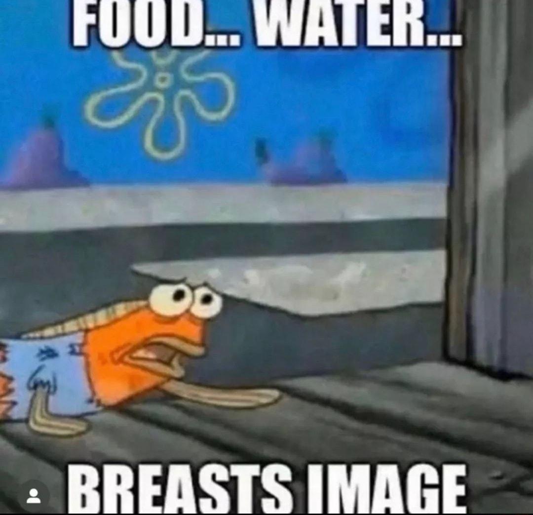 rUUL WAIER i i i Bl ol RREASTS IMAGE