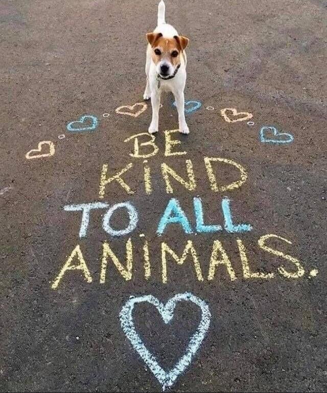 BE KIND TO ALL ANIMALS.