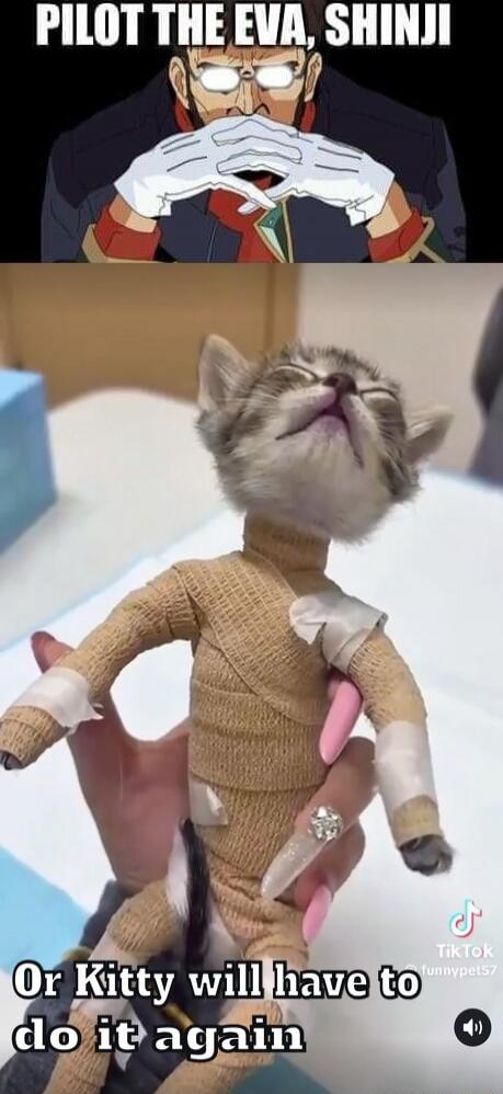 PILOT THE EVA, SHINJI
Or Kitty will have to do it agian