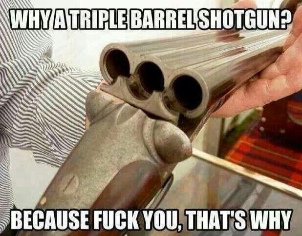 WHY A TRIPLE BARREL SHOTGUN?
BECAUSE FUCK YOU, THAT'S WHY