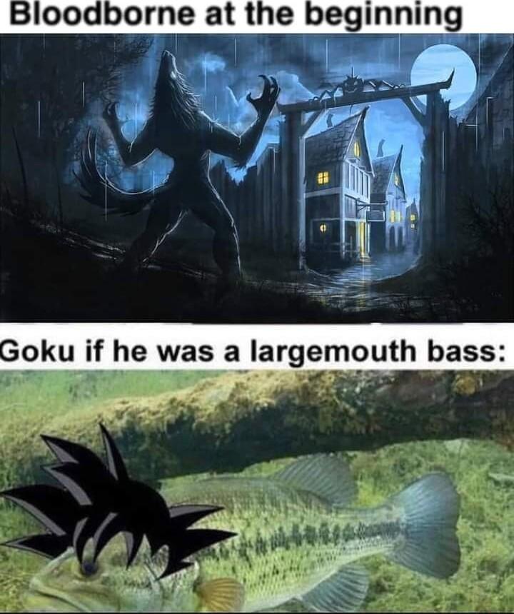 Bloodborne at the beginning T 1 e he was a largemouth bass aE R