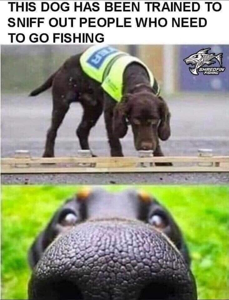 THIS DOG HAS BEEN TRAINED TO SNIFF OUT PEOPLE WHO NEED TO GO FISHING