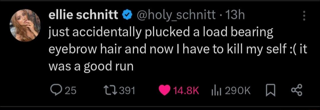 ellie schnitt holy schnitt 13h just accidentally plucked a load bearing eyebrow hair and now have to kill my self it was a good run Q25 0391 148k 200k J