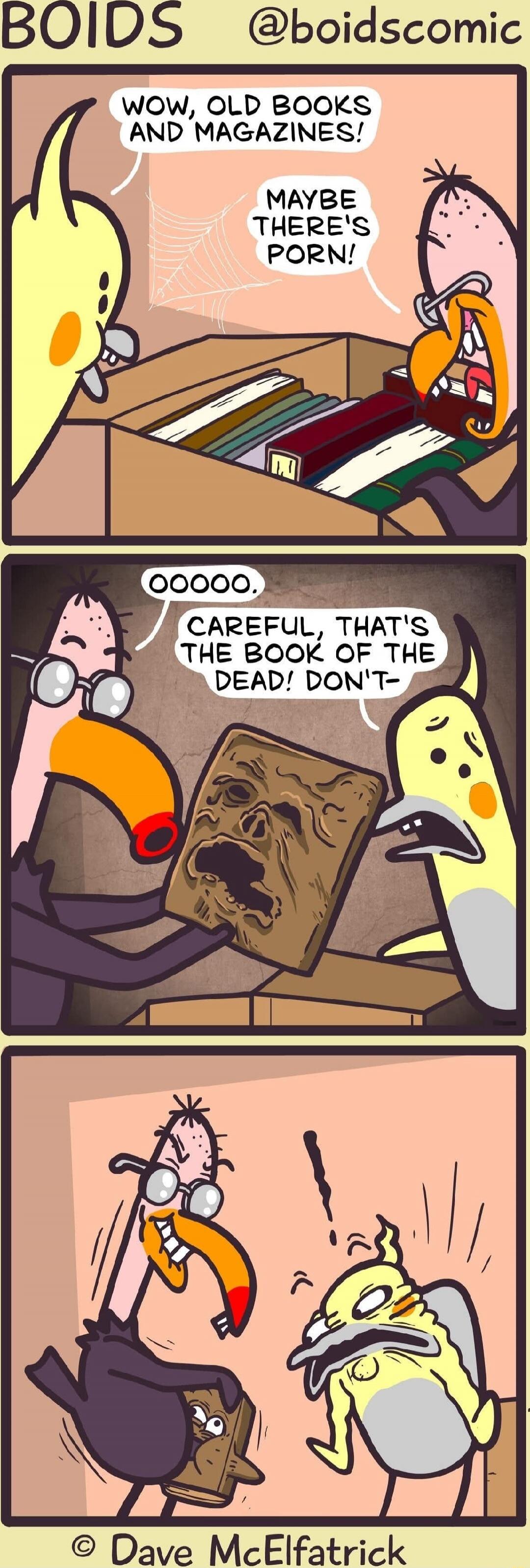 Wow, old books and magazines!
Maybe there's porn!
Ooooo.
Careful, that's the Book of the Dead! Don't-
