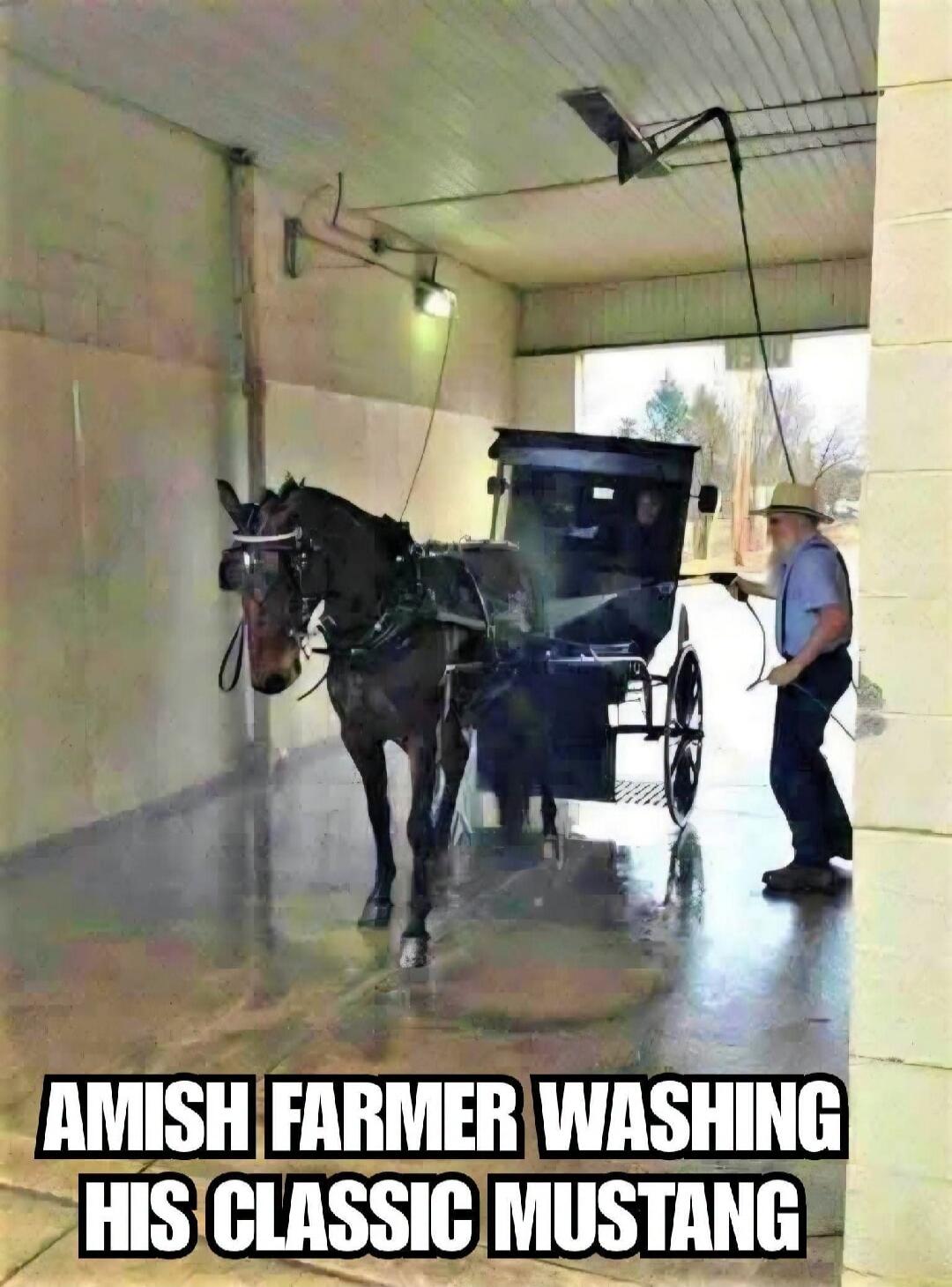 AMISH FARMER WASHING HIS CLASSIC MUSTANG