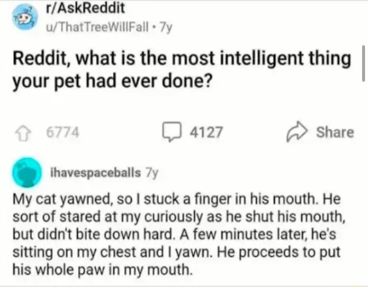 rAskReddit uThatTreeWillFall 7y Reddit what is the most intelligent thing your pet had ever done J 4127 Share ihavespaceballs 7y My cat yawned so stuck a finger in his mouth He sort of stared at my curiously as he shut his mouth but didnt bite down hard A few minutes later hes sitting on my chest and yawn He proceeds to put his whole paw in my mouth