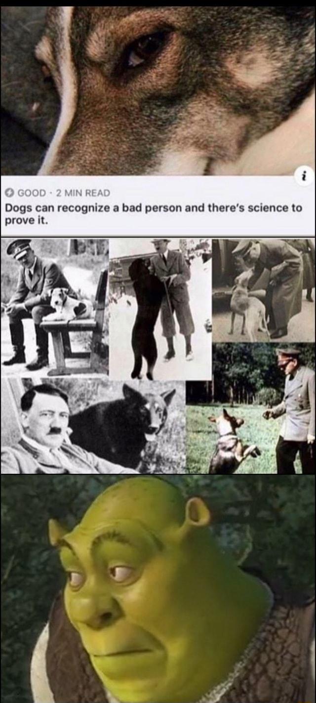 Dogs can recognize a bad person and theres science to prove it