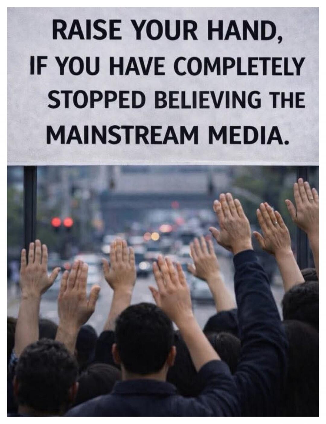 RAISE YOUR HAND, IF YOU HAVE COMPLETELY STOPPED BELIEVING THE MAINSTREAM MEDIA.