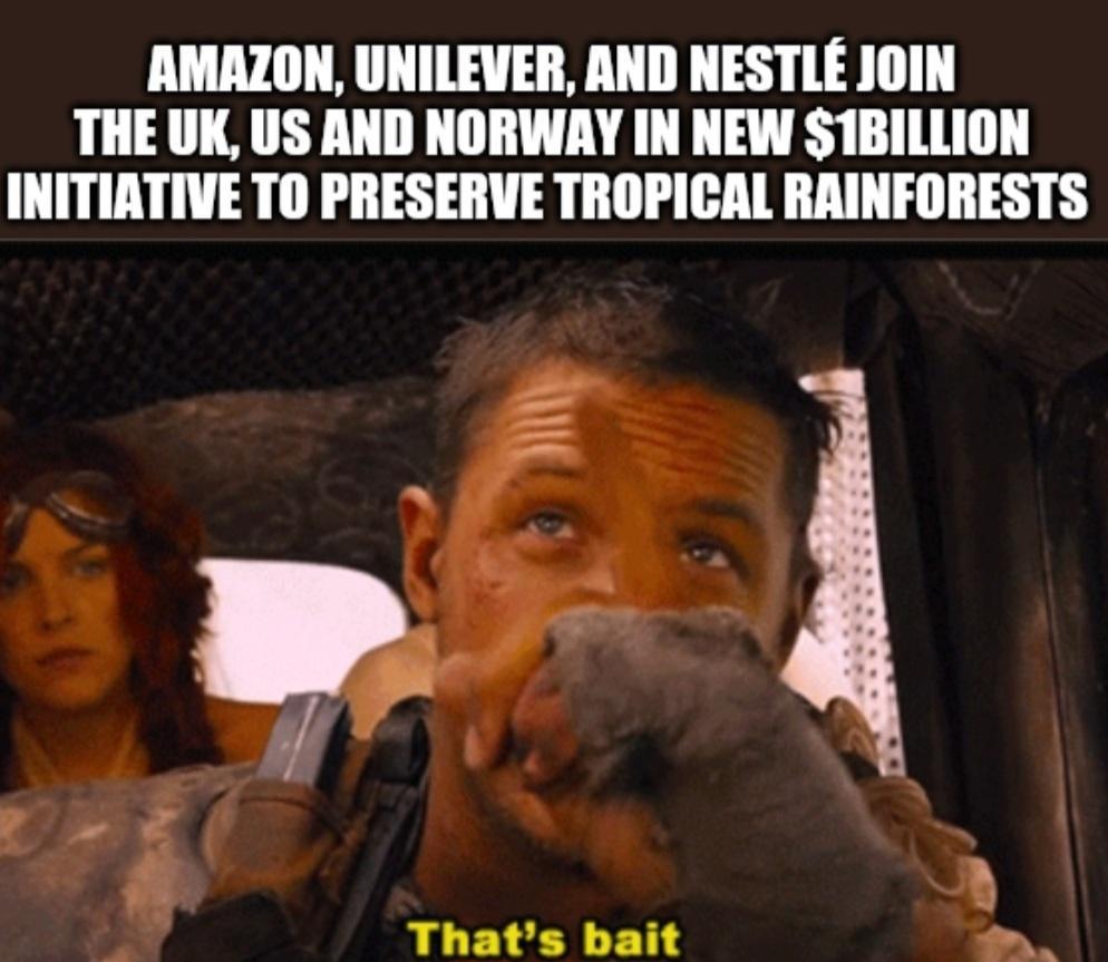 AMAZON UNILEVER AND NESTLE JOIN THE UK US AND NORWAY IN NEW S1BILLION INITIATIVE TO PRESERVE TROPICAL RAINFORESTS Thats bait