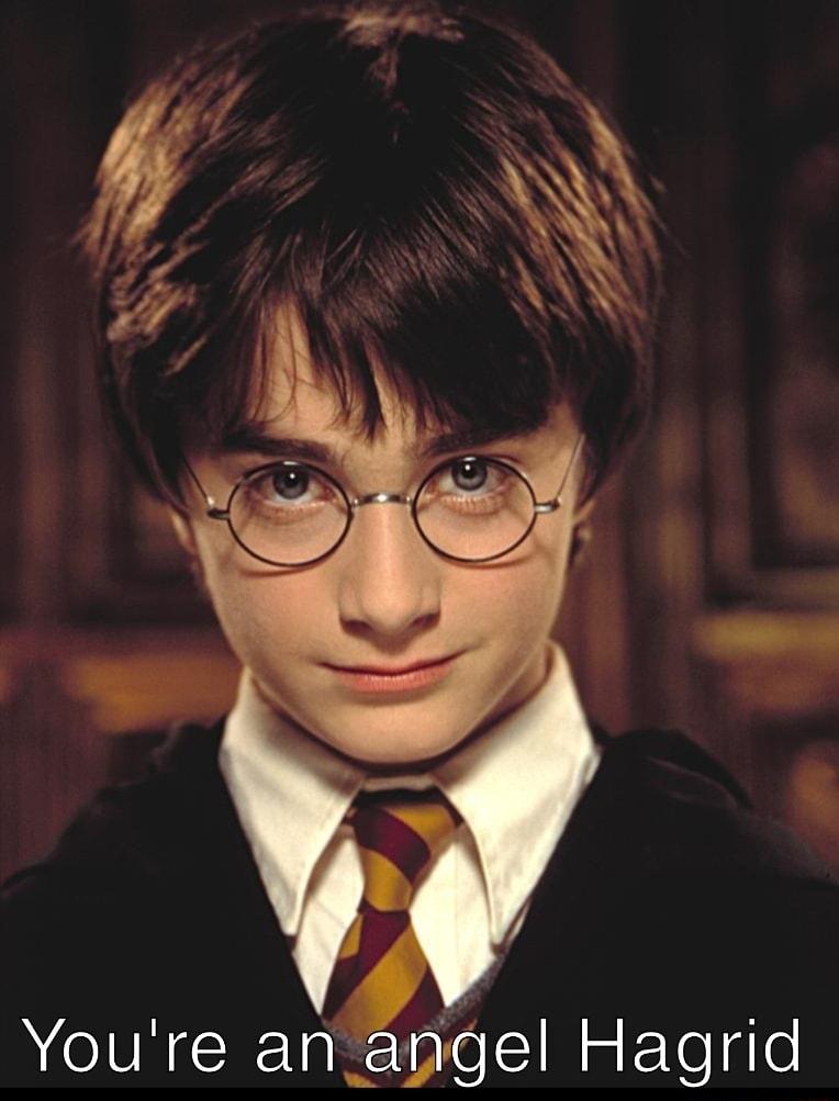 Youre an angel Hagrid