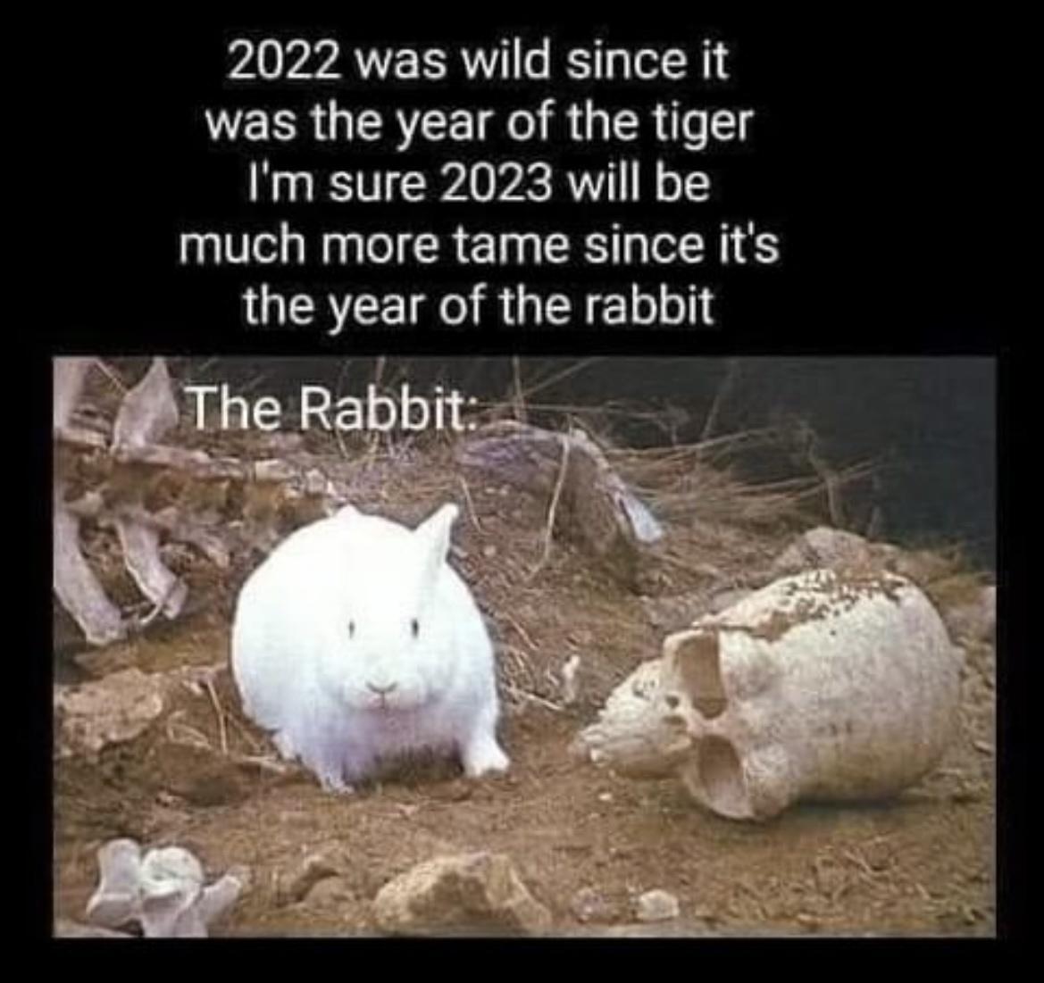 2022 was wild since it was the year of the tiger Im sure 2023 will be much more tame since its QUCRTEIRIRGEIET LT I