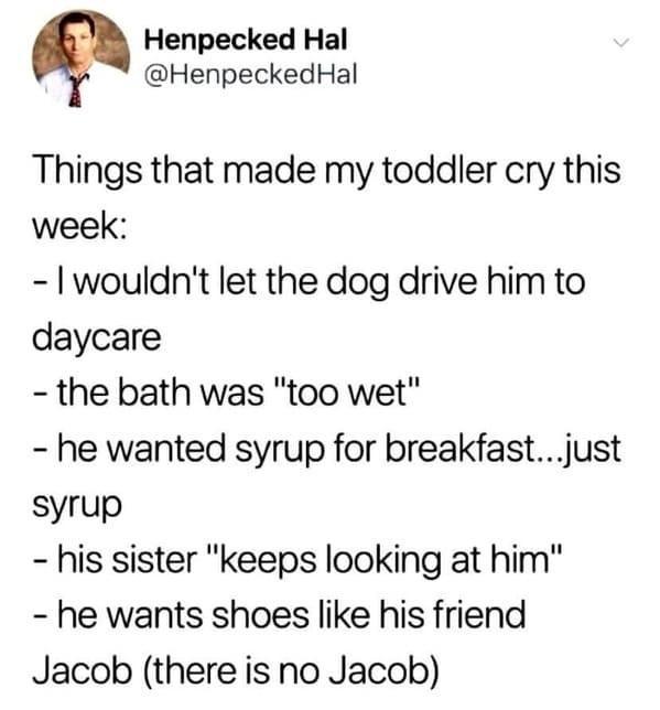 Henpecked Hal HenpeckedHal Things that made my toddler cry this week wouldnt let the dog drive him to daycare the bath was too wet he wanted syrup for breakfastjust syrup his sister keeps looking at him he wants shoes like his friend Jacob there is no Jacob