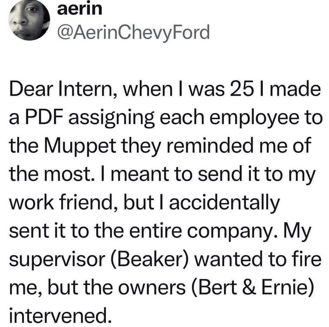 aerin AerinChevyFord Dear Intern when was 25 made a PDF assigning each employee to the Muppet they reminded me of the most meant to send it to my work friend but accidentally sent it to the entire company My supervisor Beaker wanted to fire me but the owners Bert Ernie intervened