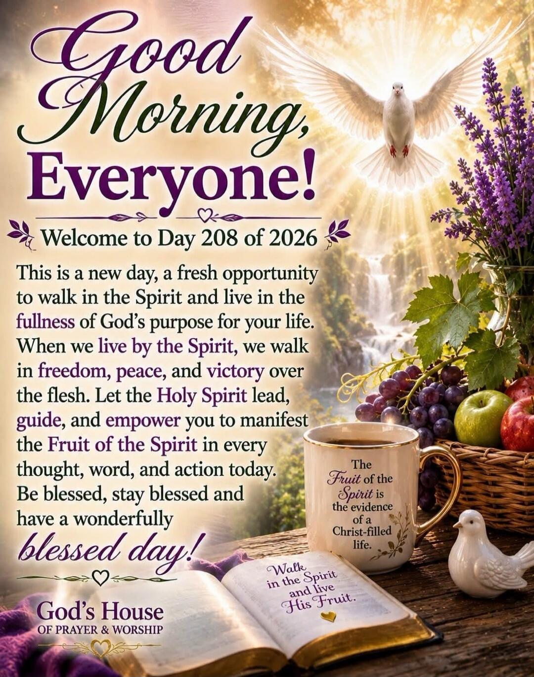 Good Morning, Everyone! Welcome to Day 208 of 2026. This is a new day, a fresh opportunity to walk in the Spirit and live in the fullness of God's purpose for your life. When we live by the Spirit, we walk in freedom, peace, and victory over the flesh. Let the Holy Spirit lead, guide, and empower you to manifest the Fruit of the Spirit in every tho
