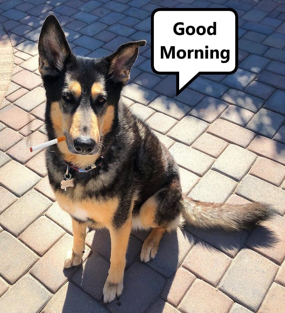Good Morning