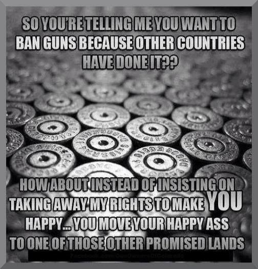 SO YOU'RE TELLING ME YOU WANT TO BAN GUNS BECAUSE OTHER COUNTRIES HAVE DONE IT?? HOW ABOUT INSTEAD OF INSISTING ON TAKING AWAY MY RIGHTS TO MAKE YOU HAPPY... YOU MOVE YOUR HAPPY ASS TO ONE OF THOSE OTHER PROMISED LANDS