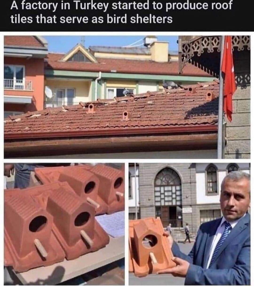 A factory in Turkey started to produce roof tiles that serve as bird shelters