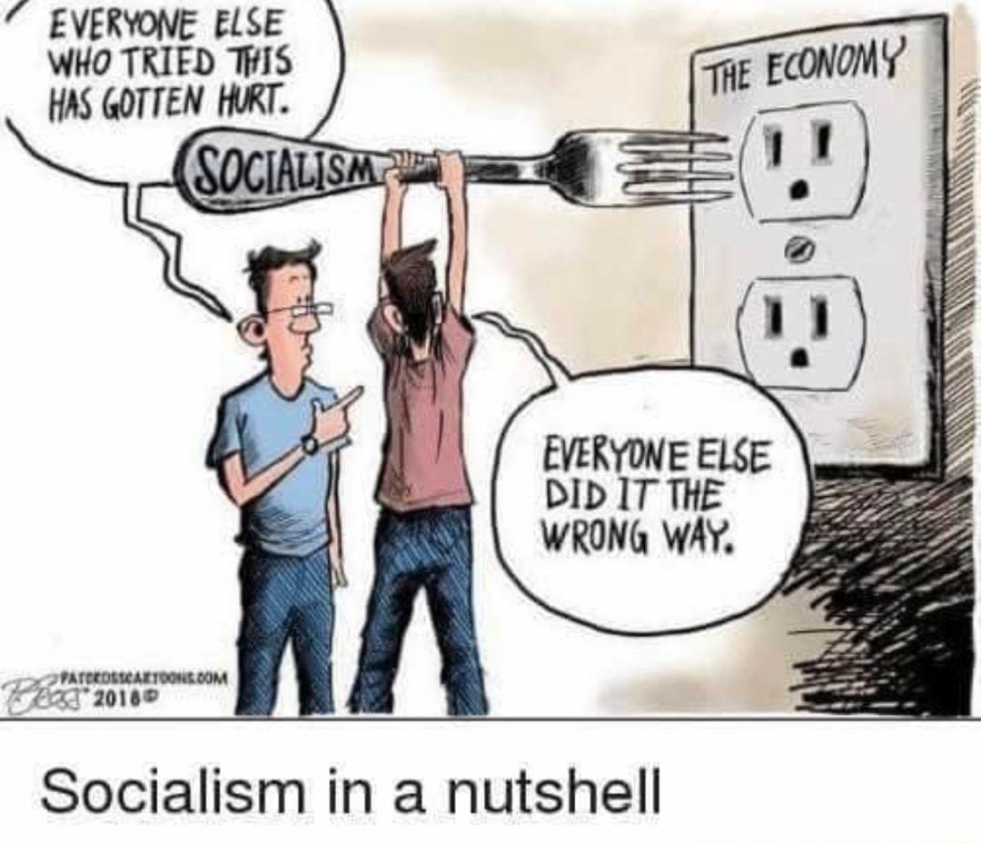 7 EVERYONE ELSE WHO TRIED THIS HAS GOTTEN HURT DID IT THE WRONG WAY T 2 PATEEOSSCAR TOONE 00M FEET 20189 Socialism in a nutshell