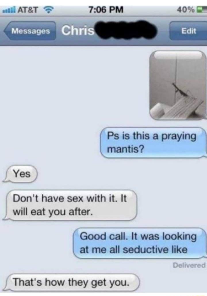 wiill ATET 7 706 PM Messages Chris Ps is this a praying mantis Yes Dont have sex with it It will eat you after Goodcallllwasbokhg at me all seductive like Delivered Thats how they get you