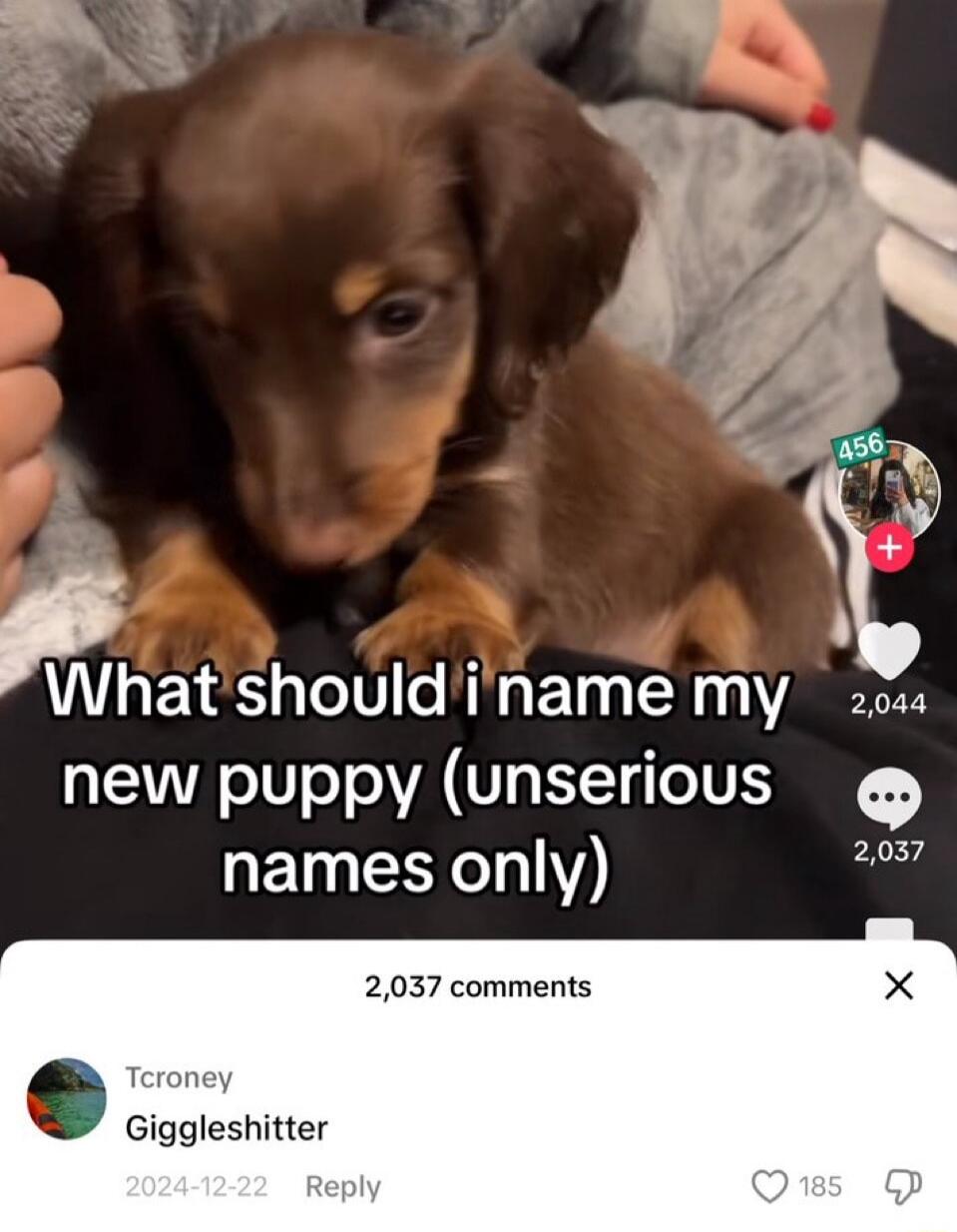 What shouldiname my 20 QETEIV T VAT R TTV S names only 2037 comments roney Giggleshitter