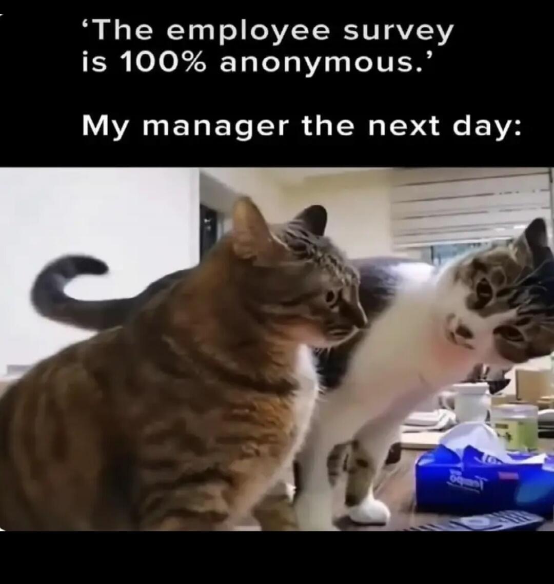 'The employee survey is 100% anonymous.'
My manager the next day: