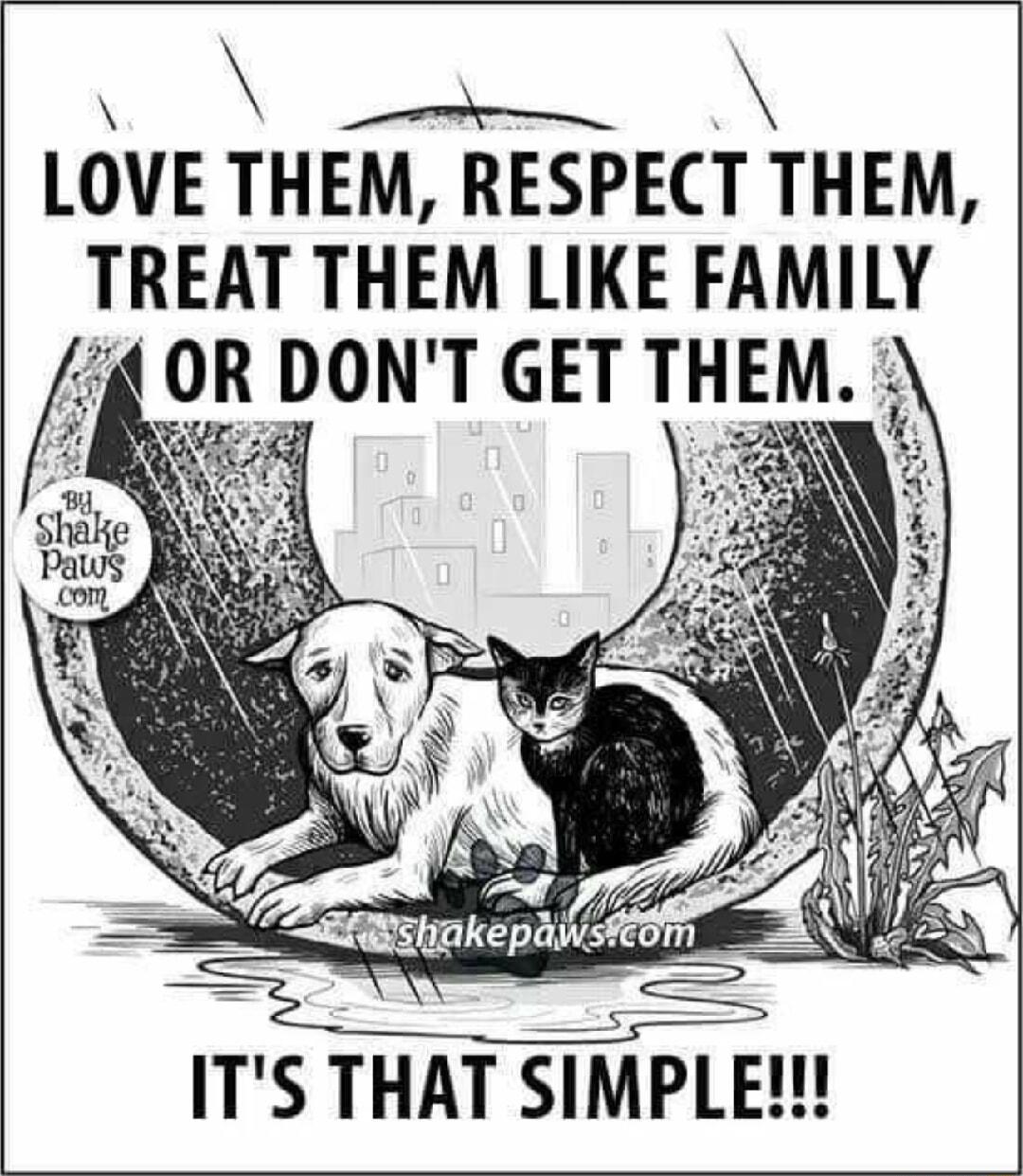 LOVE THEM RESPECT THEM TREAT THEM LIKE FAMILY 9 DONT GET THEM ITS THAT SIMPLE