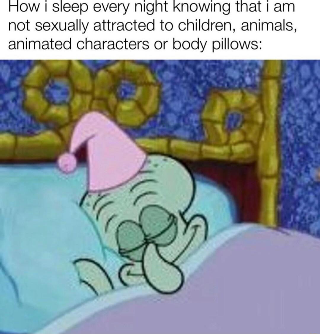 oW sleep every night knowing that am not sexually attracted to children animals animated characters or body pillows