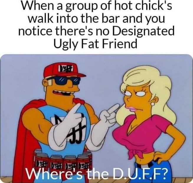 When a group of hot chicks walk into the bar and you notice theres no Designated Ugly Fat Friend