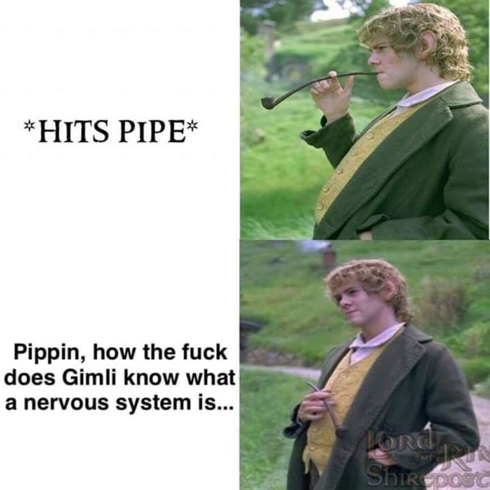 HITS PIPE Pippin how the fuck does Gimli know what anervous system is